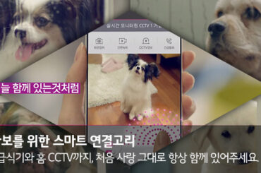 펫(PET)바보를 위한 스마트 연결고리