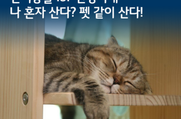 [U+PEN 비에르쥬] 나 혼자 산다 펫 같이 산다! 반려동물 IoT 전성시대