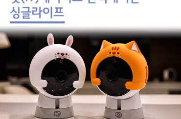 잇(IT)테리어로 완벽해지는 싱글라이프