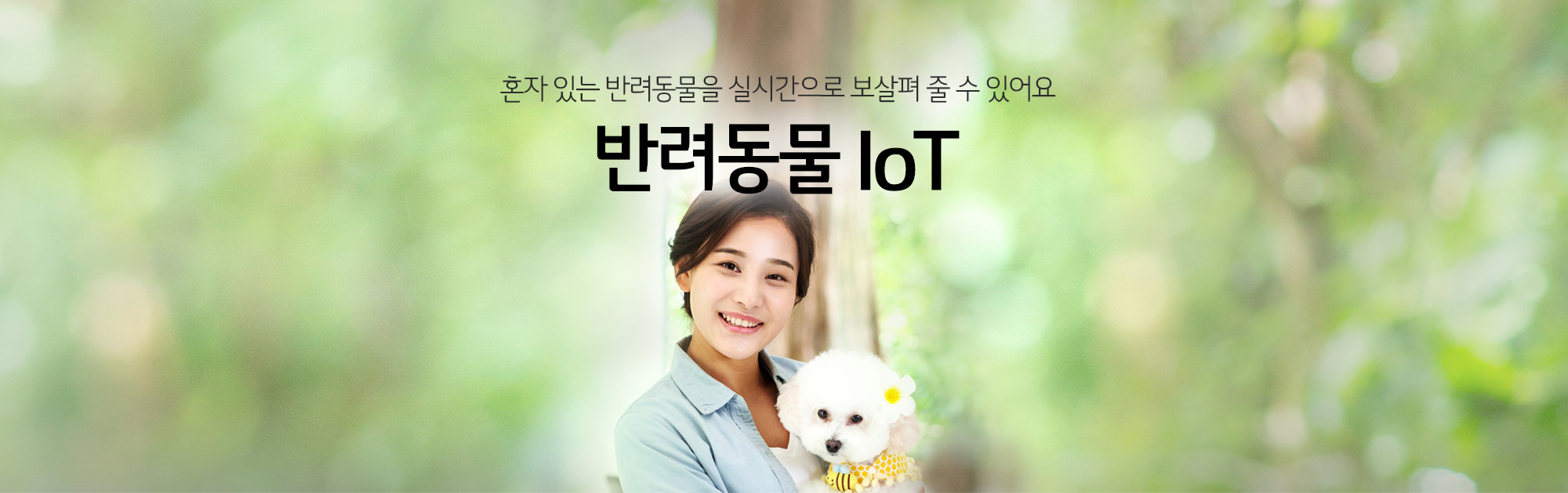 반려동물 IoT