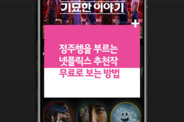 정주행을 부르는 넷플릭스 추천작 무료로 보는 방법