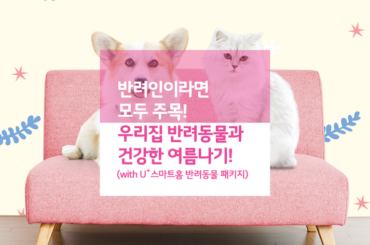 반려인이라면 주목! 우리집 반려동물과 함께 건강한 여름나기!(with U+스마트홈 반려동물 패키지)